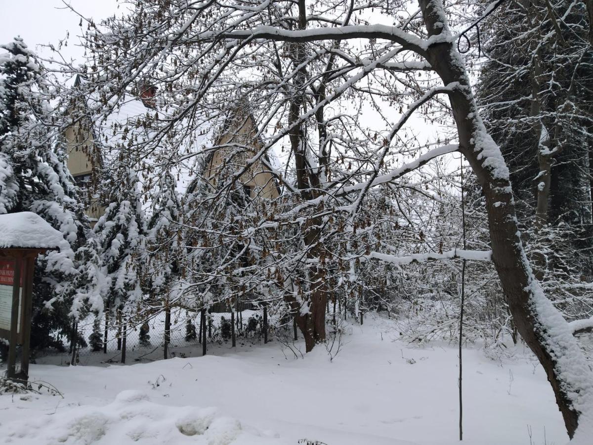 Apartamenty Krokiew Zakopane Luaran gambar